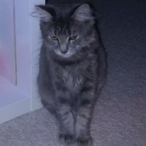 Meet your Posher, Luna